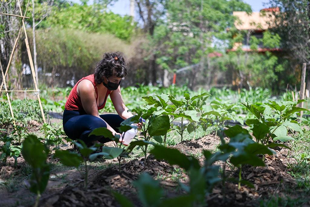 Fomentando la sensación de pertenencia y comunidad