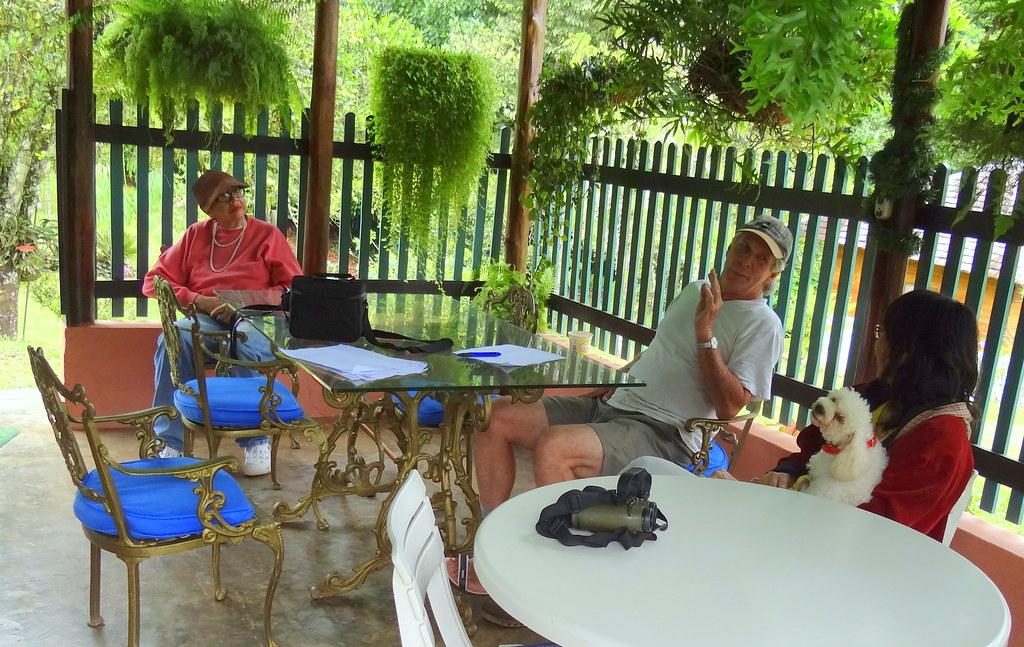 Ambiente acogedor ​y confortable