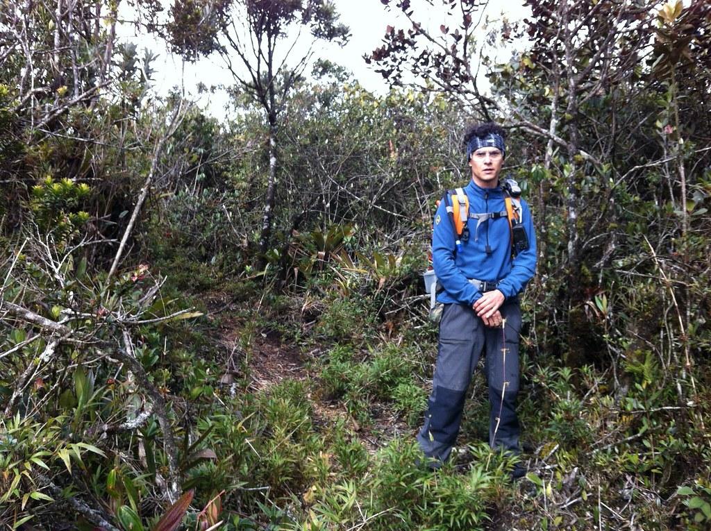 Explorando los servicios de cuidados geriátricos en Bolivariana Medellín