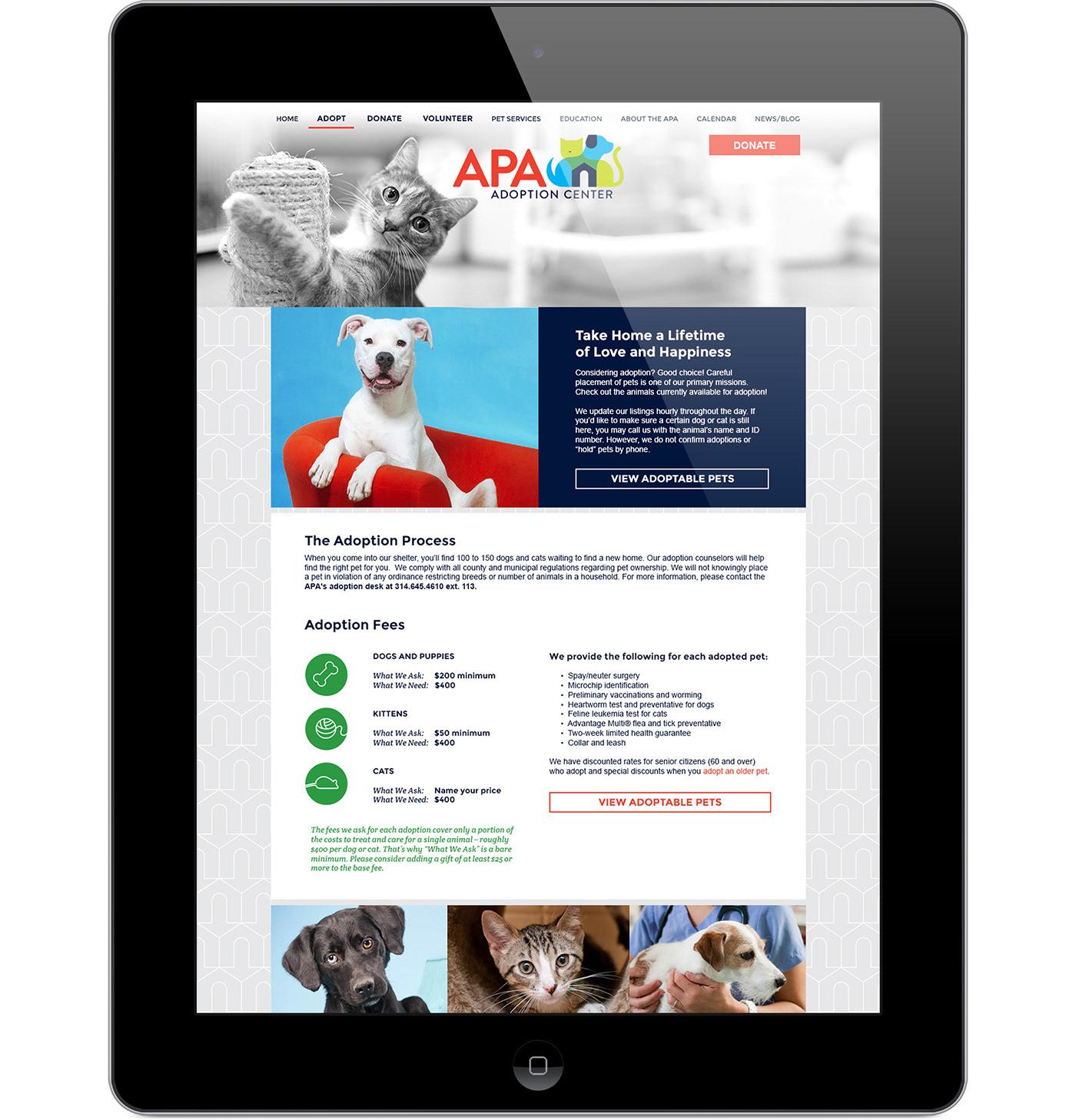 Recomendaciones personalizadas para el cuidado y la atención de adultos mayores