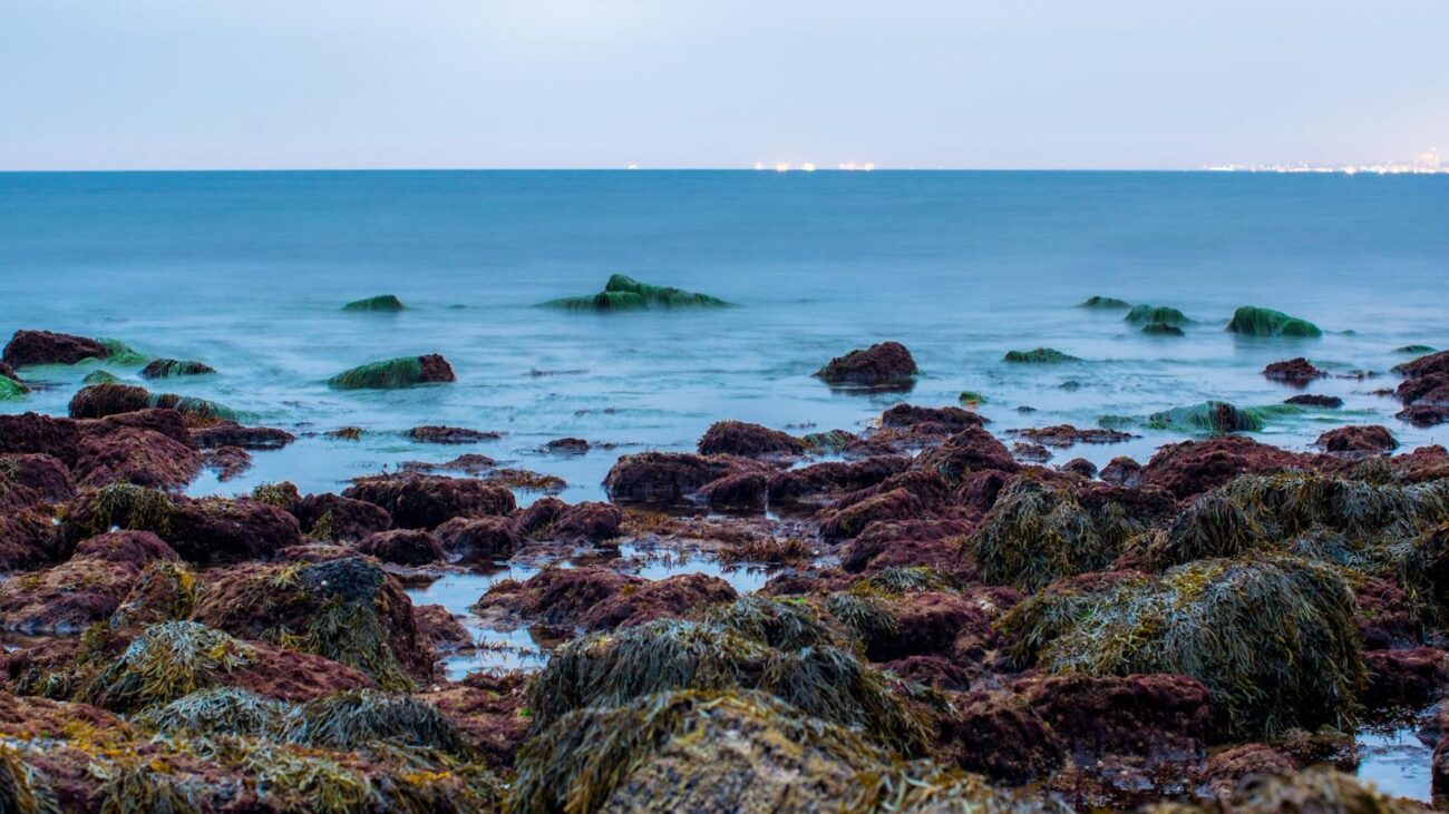 Espacios verdes y jardines terapéuticos: Hogares geriátricos en Medellín que conectan con la naturaleza.