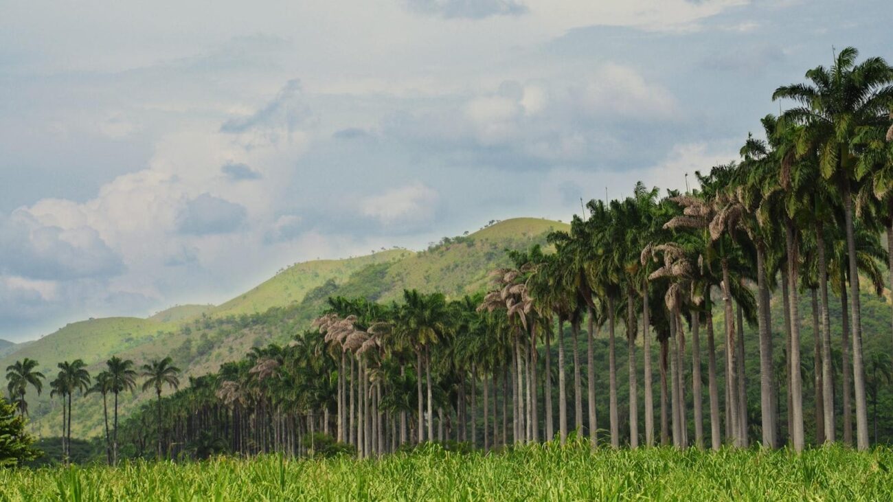 La autonomía en la tercera edad: Hogares geriátricos en Medellín que respetan la independencia de cada residente.