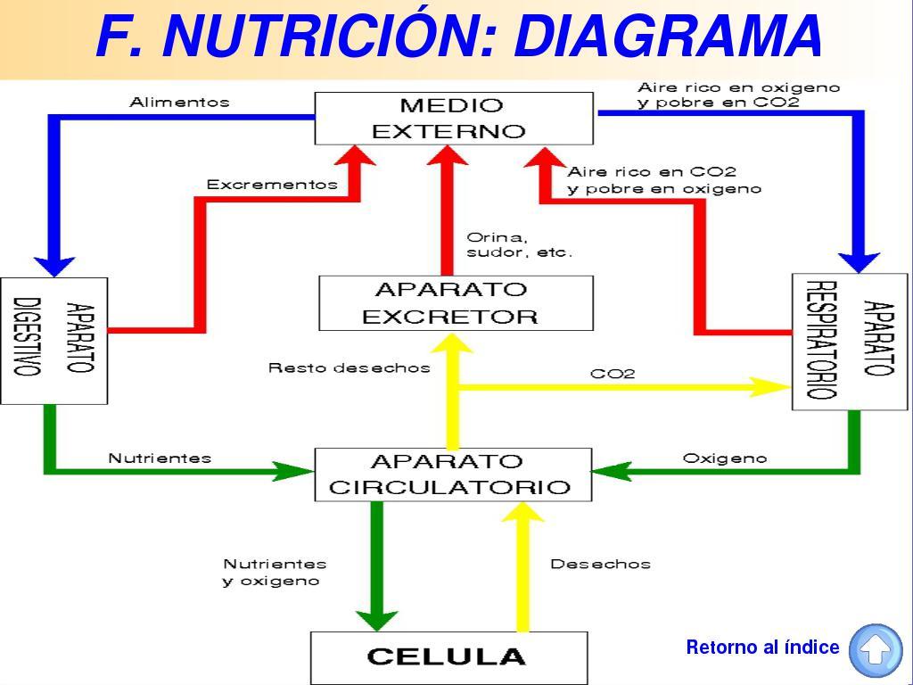 Nutrición y sabor como prioridades en la cocina