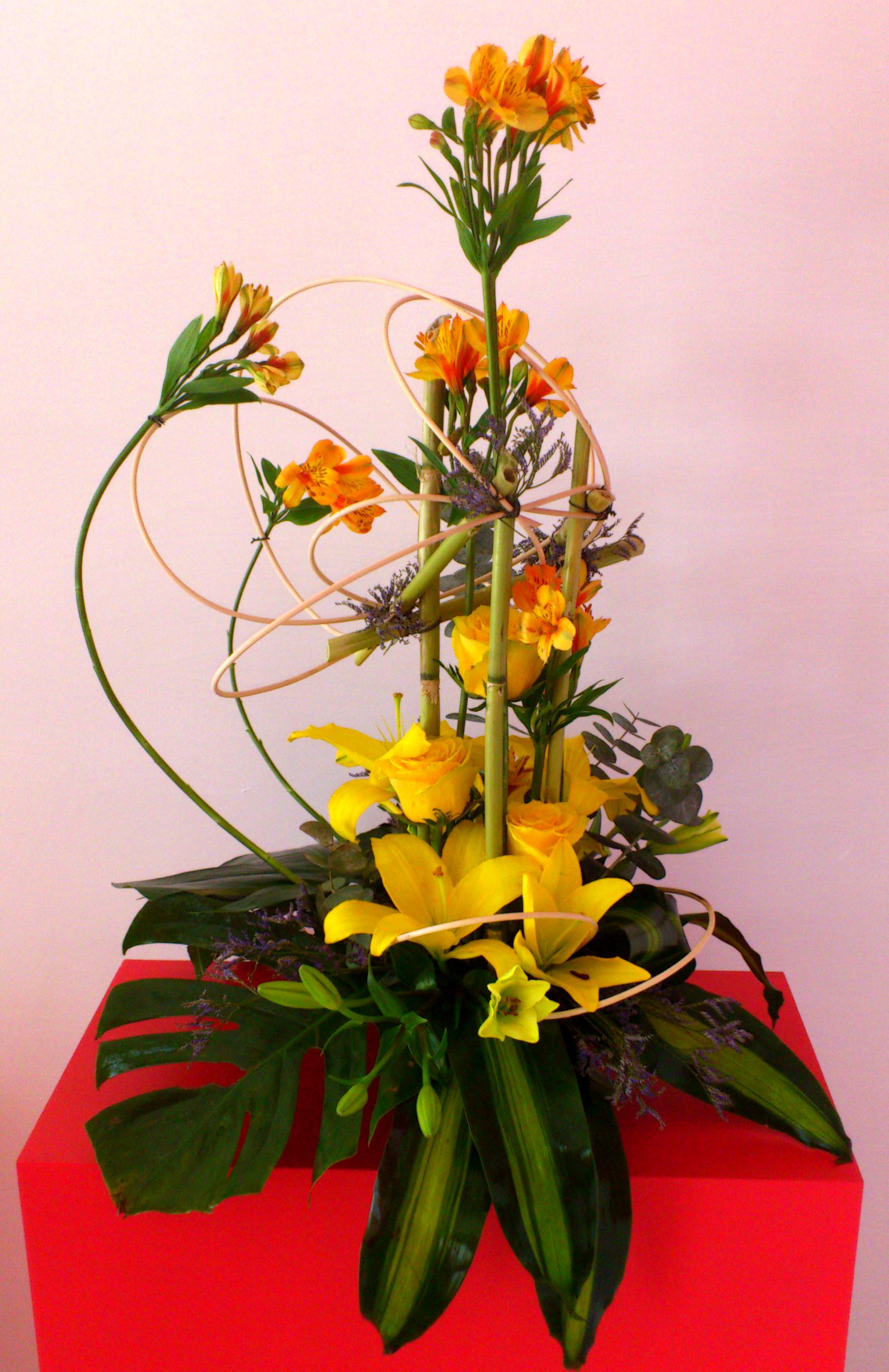 Diseño y planificación del espacio para garantizar comodidad y bienestar