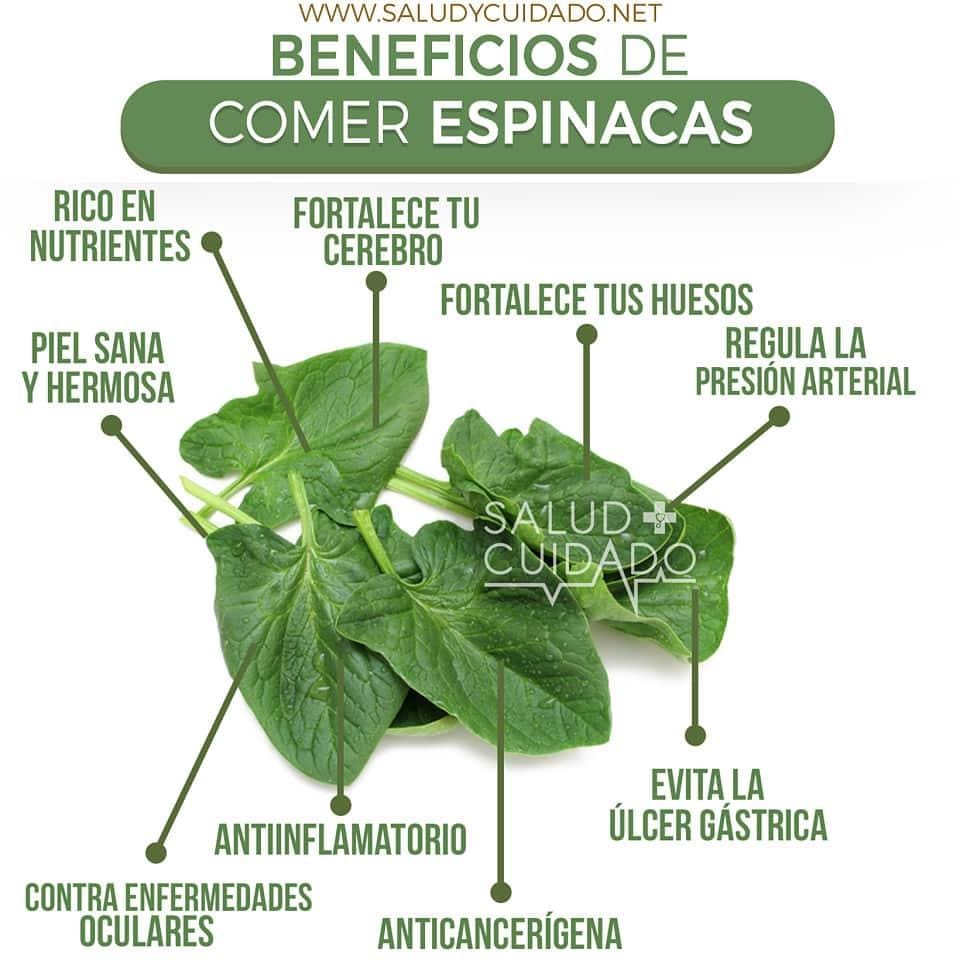 Beneficios de los grupos de apoyo en hogares geriátricos