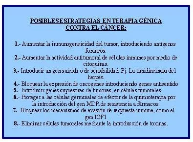 Estrategias para fomentar la salud física y ⁢emocional de los adultos mayores