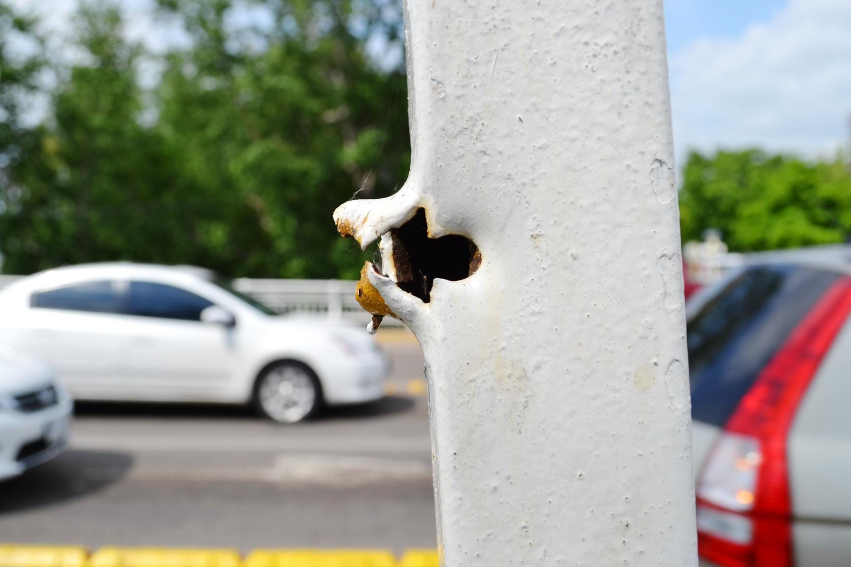 Impacto de la calidad del aire en el control del asma en residencias para personas mayores