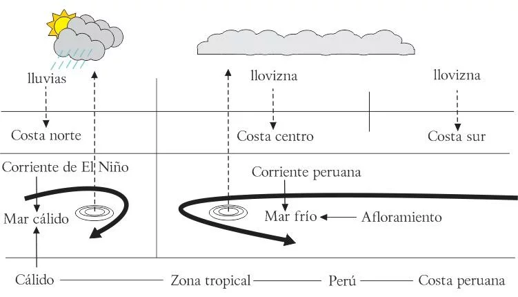 Influencia de la dieta y el estilo de vida comunitario en la salud cardiovascular de los adultos mayores