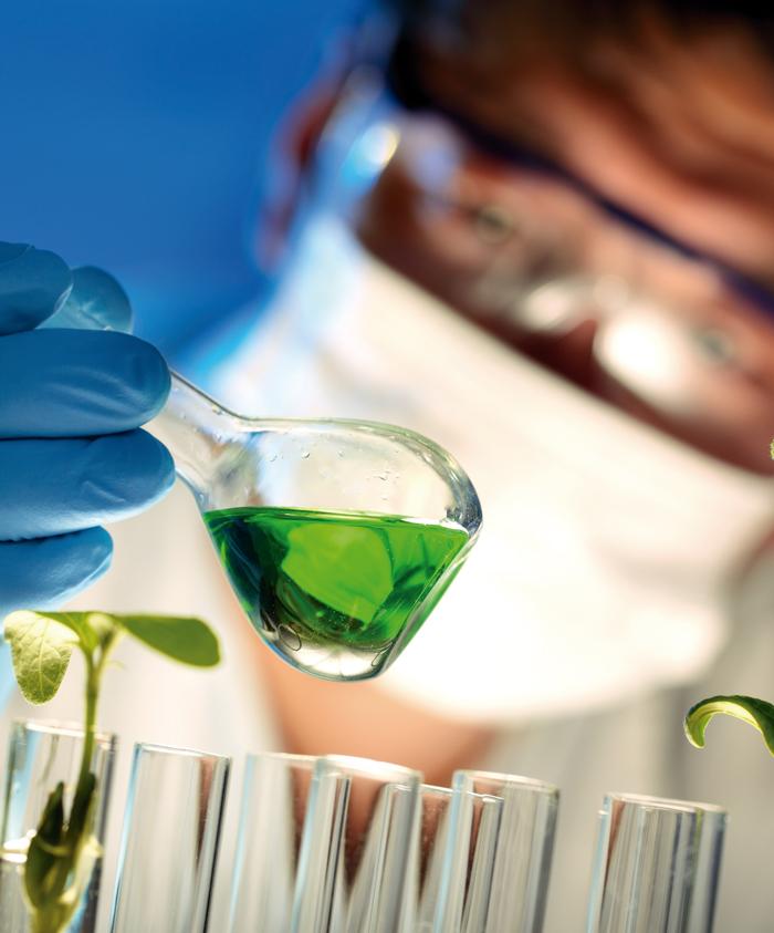 Innovación y calidad ⁢de vida: ¿Qué hace diferente a Altos del Poblado?