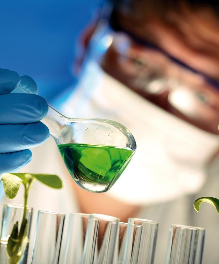 Innovación en los Detalles para una Vida Plena y‍ Confortable