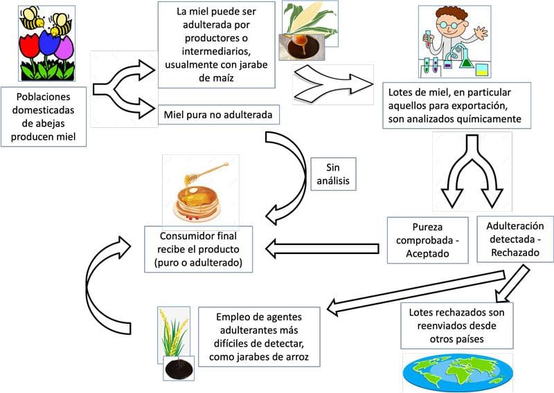 Estrategias alimentarias para controlar la diabetes tipo 2 en personas mayores