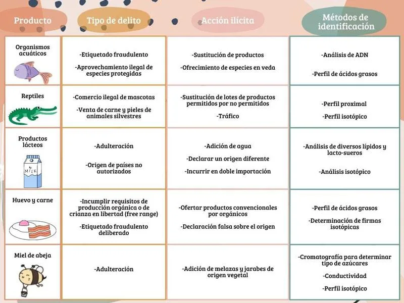 Consideraciones físicas y de salud para el diseño de​ ejercicios adaptados