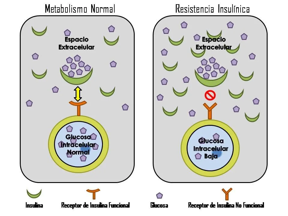 Recomendaciones específicas para el uso adecuado de la insulina
