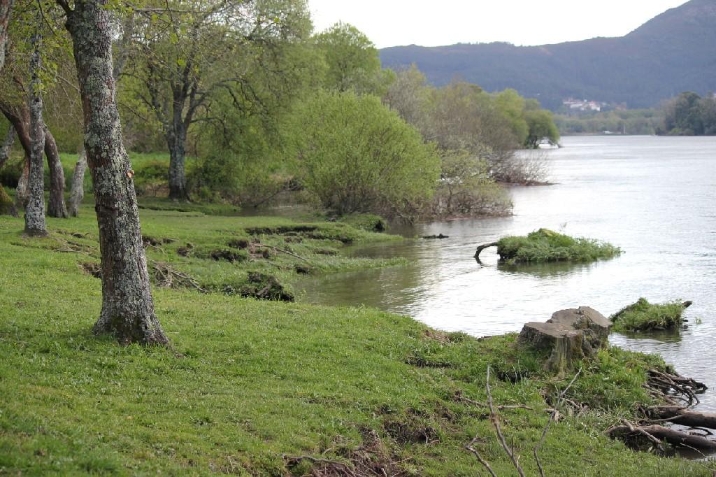 Un ​ambiente acogedor que⁢ promueve la felicidad ⁣y bienestar