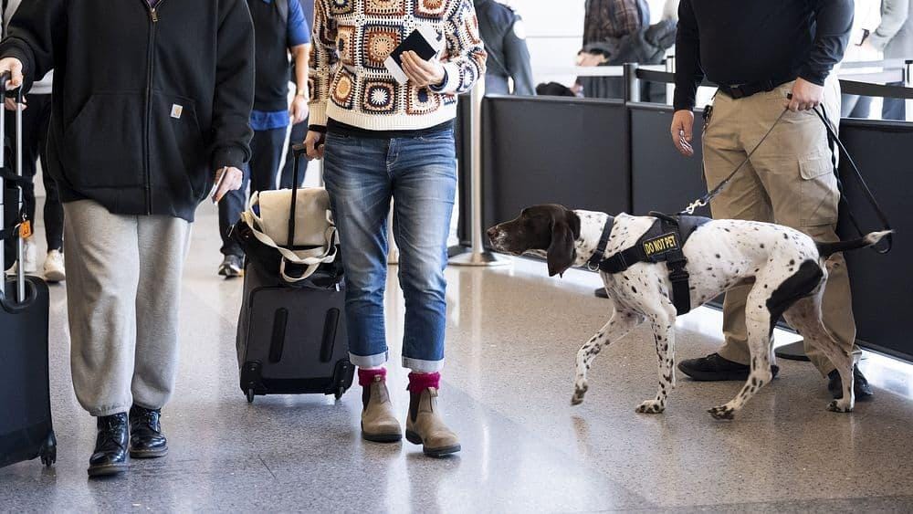 Recomendaciones adicionales para la práctica de ejercicios de respiración en hogares geriátricos