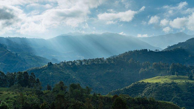 Descubriendo la belleza de Florida Nueva ‌Medellín