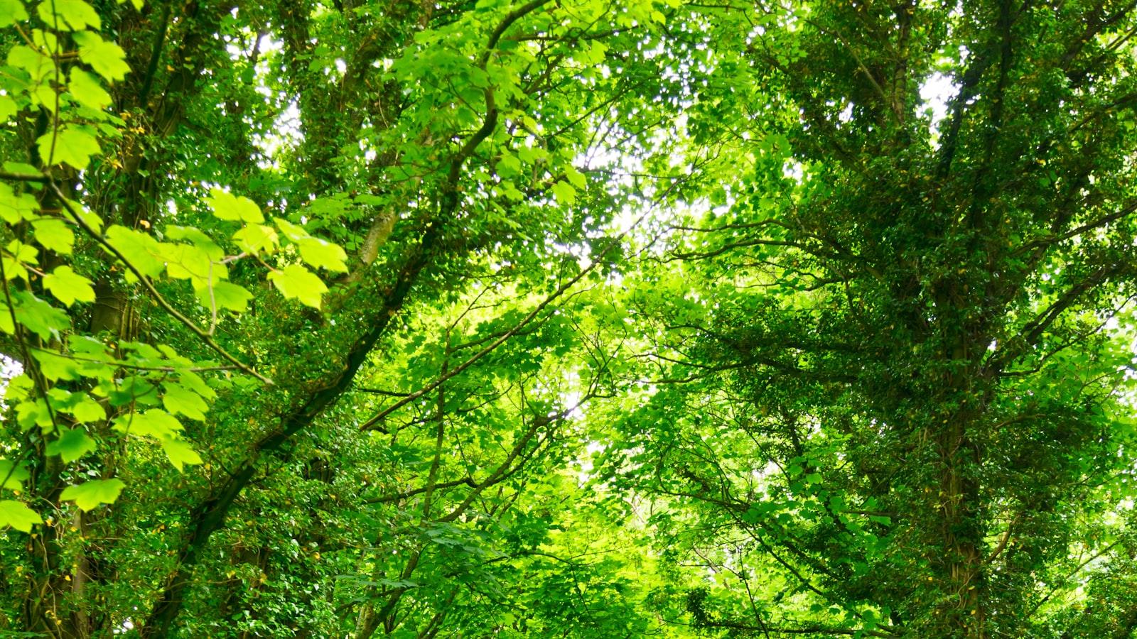 Un ambiente lleno de seguridad para cada residente en los hogares geriátricos de Medellín