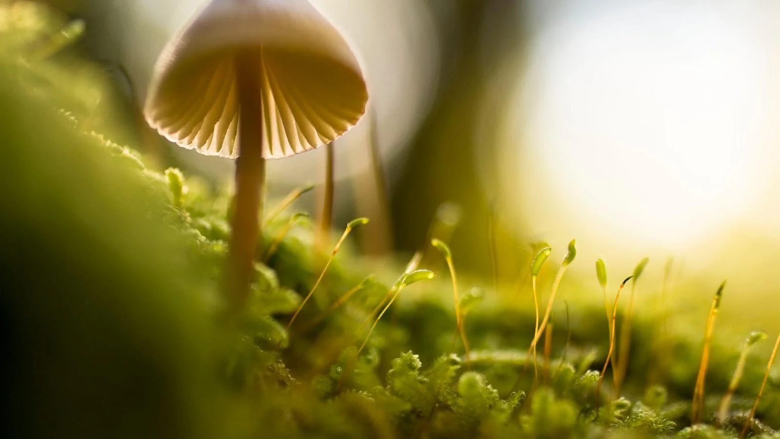 Bienestar integral para nuestros residentes