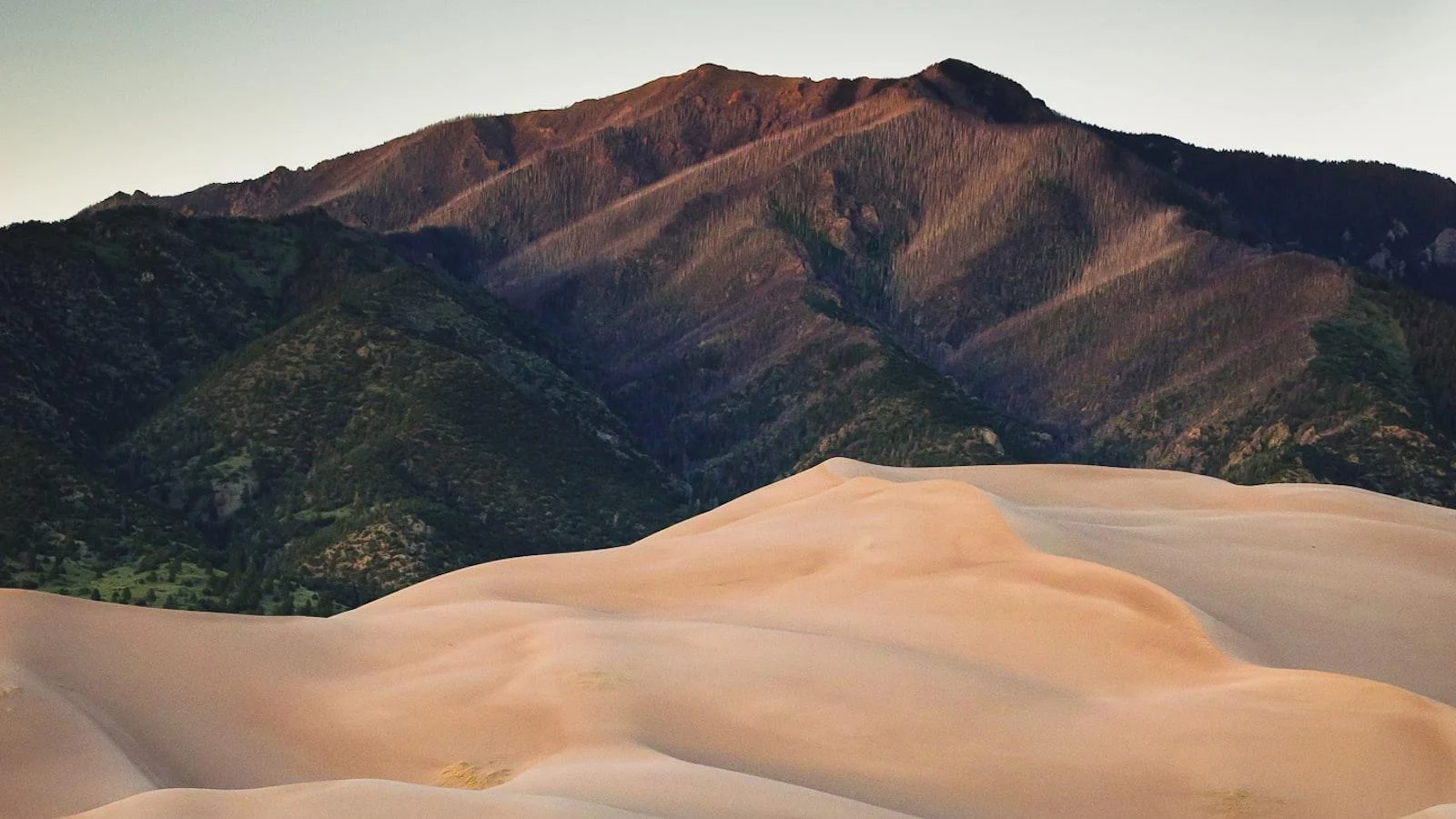 Un oasis de tranquilidad en‌ medio de ⁢la ciudad