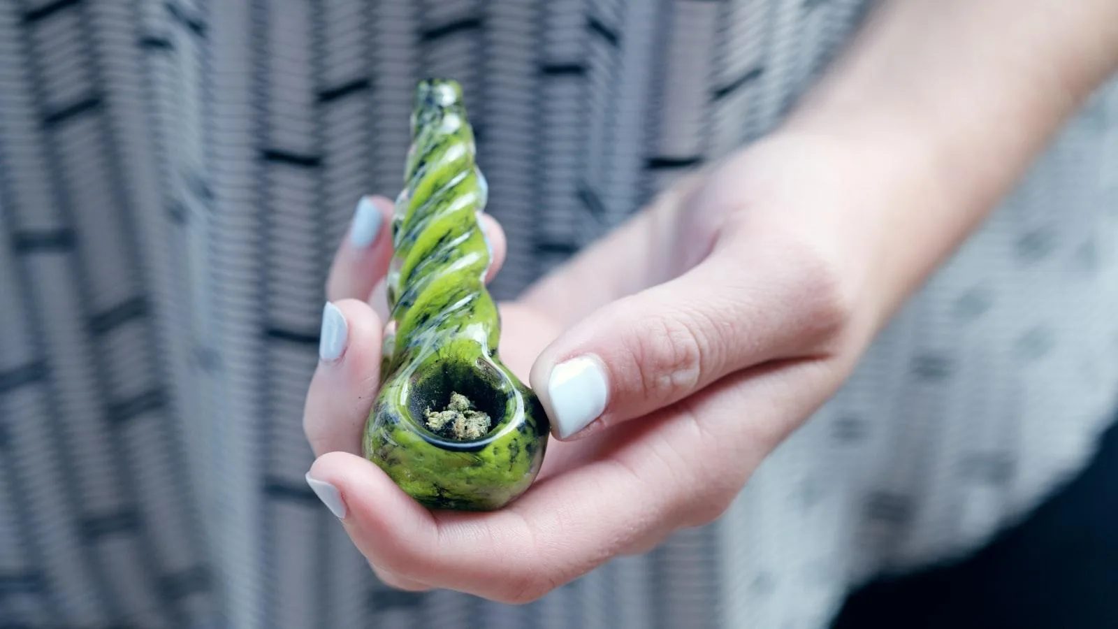 Hierbas medicinales para controlar los niveles de azúcar en pacientes geriátricos con diabetes