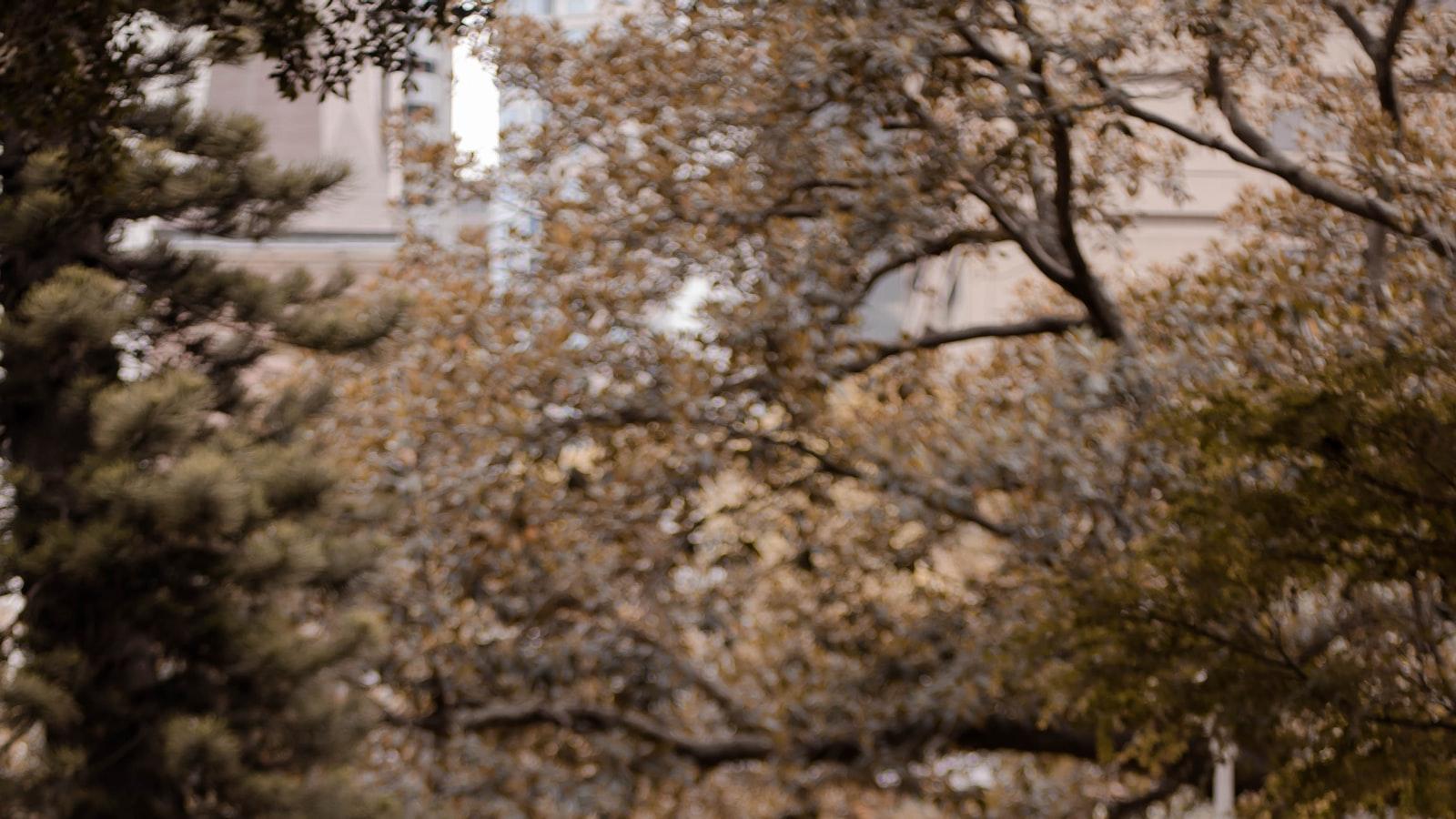 - Estrategias para mejorar la calidad de vida de adultos mayores con insuficiencia cardíaca a través de cambios en el hogar