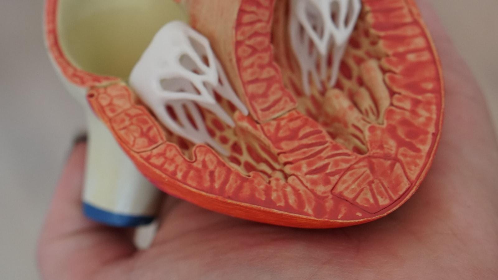 Recomendaciones clave para el manejo de enfermedades cardíacas en adultos mayores