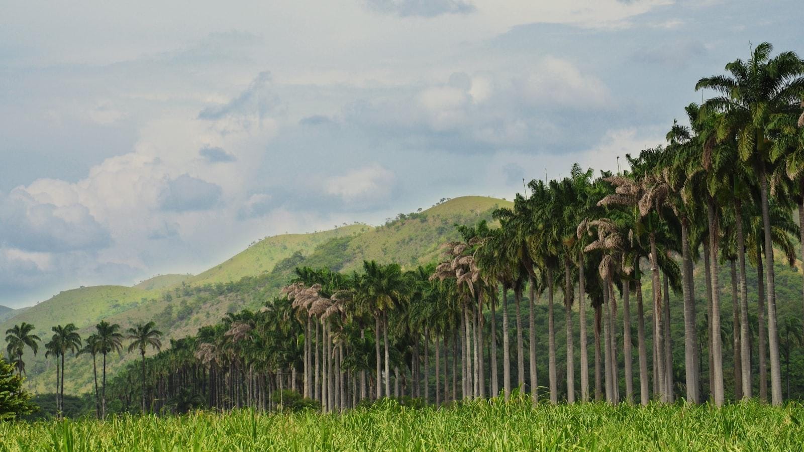 Consejos para mejorar la calidad de vida de pacientes con asma y mantenerse activos