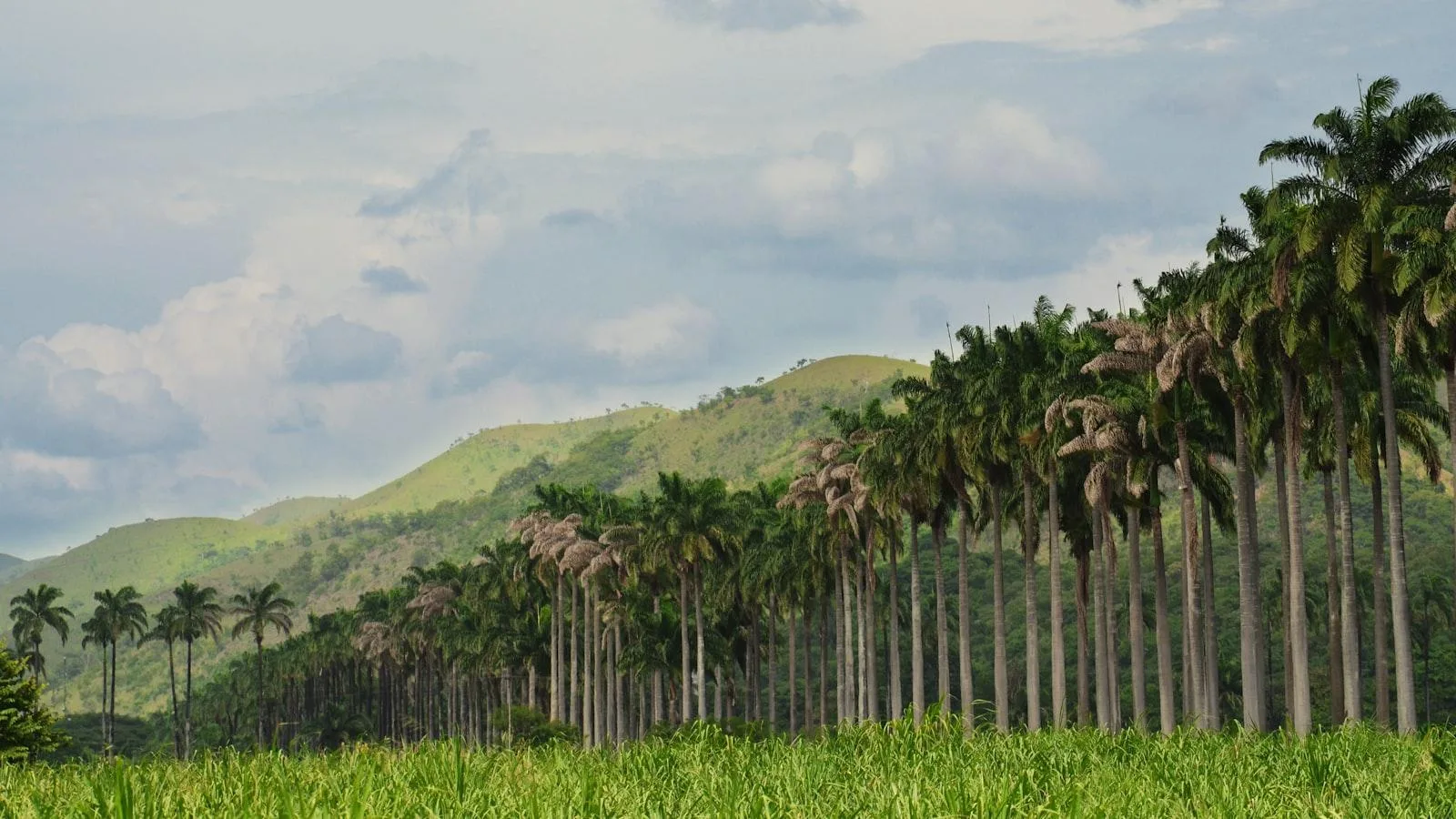 Consejos prácticos para cuidadores especializados en diabetes