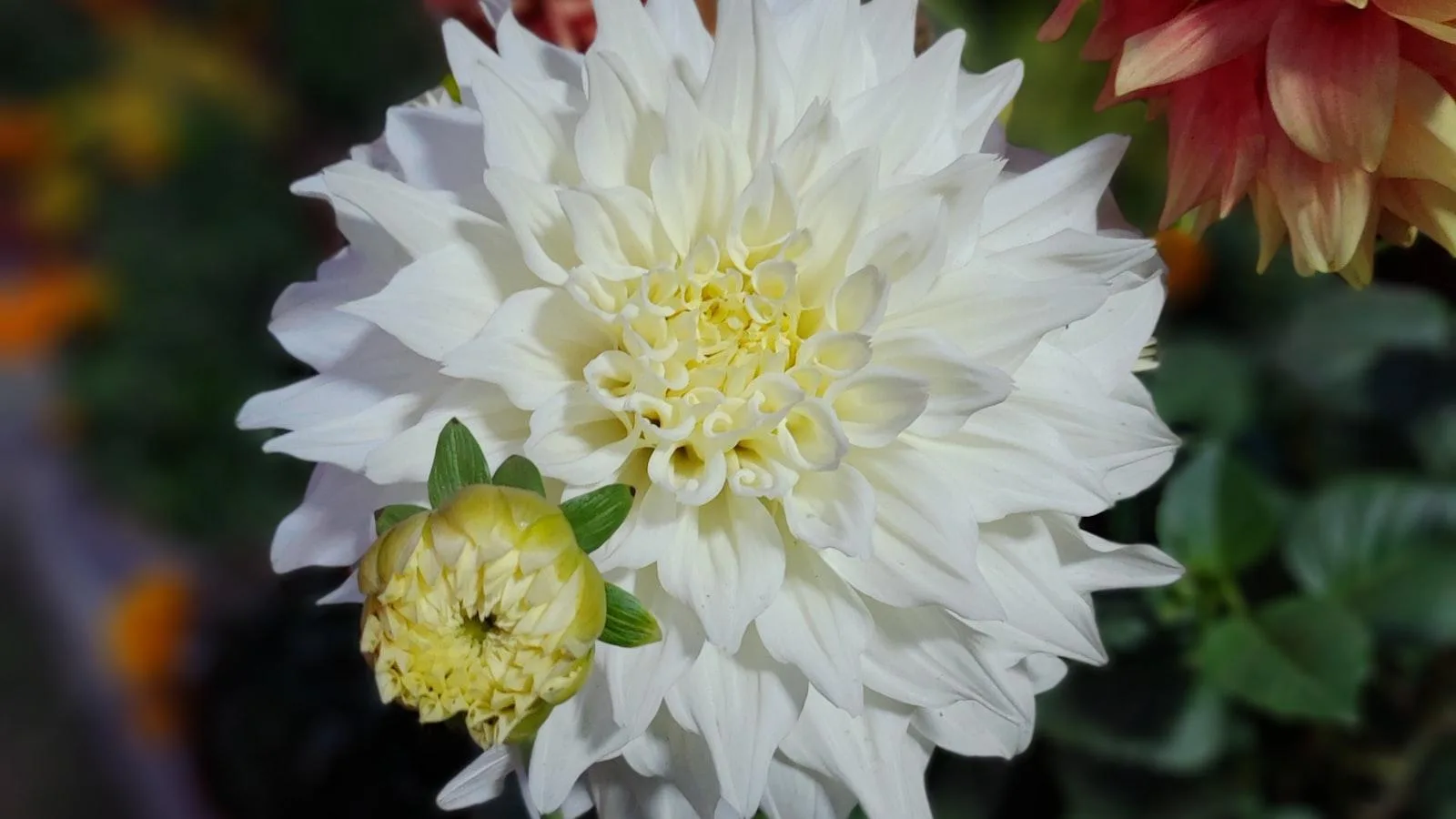 Beneficios físicos y mentales de la práctica regular de ejercicios adaptados en residencias geriátricas