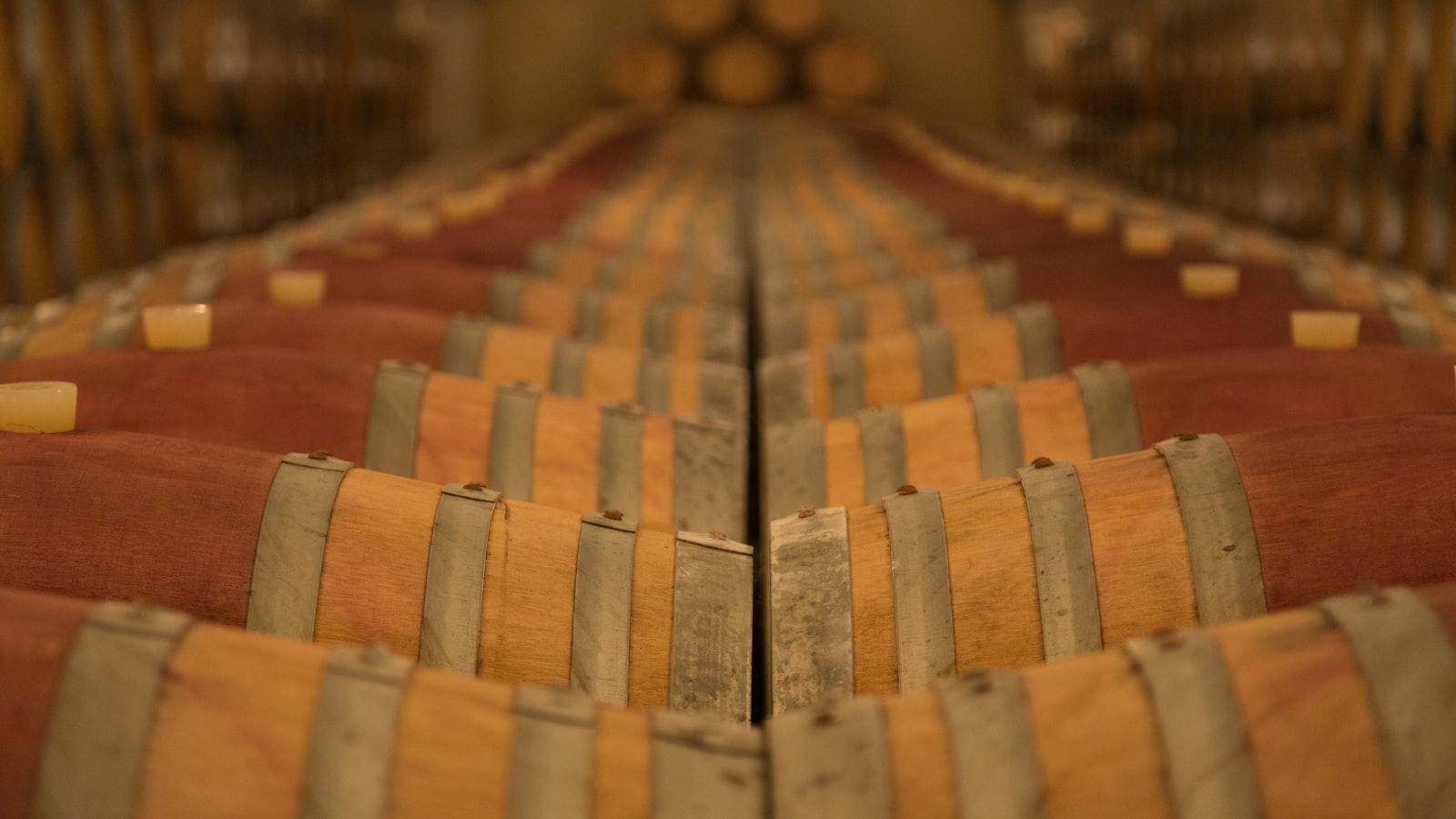 Beneficios de los⁢ cuidados geriátricos ‍en San Diego Medellín