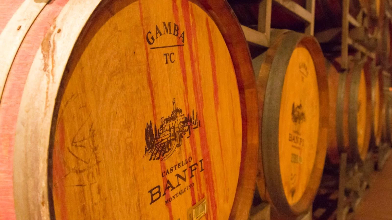 Beneficios de⁣ los cuidados ⁤geriátricos​ en Los Colores Medellín