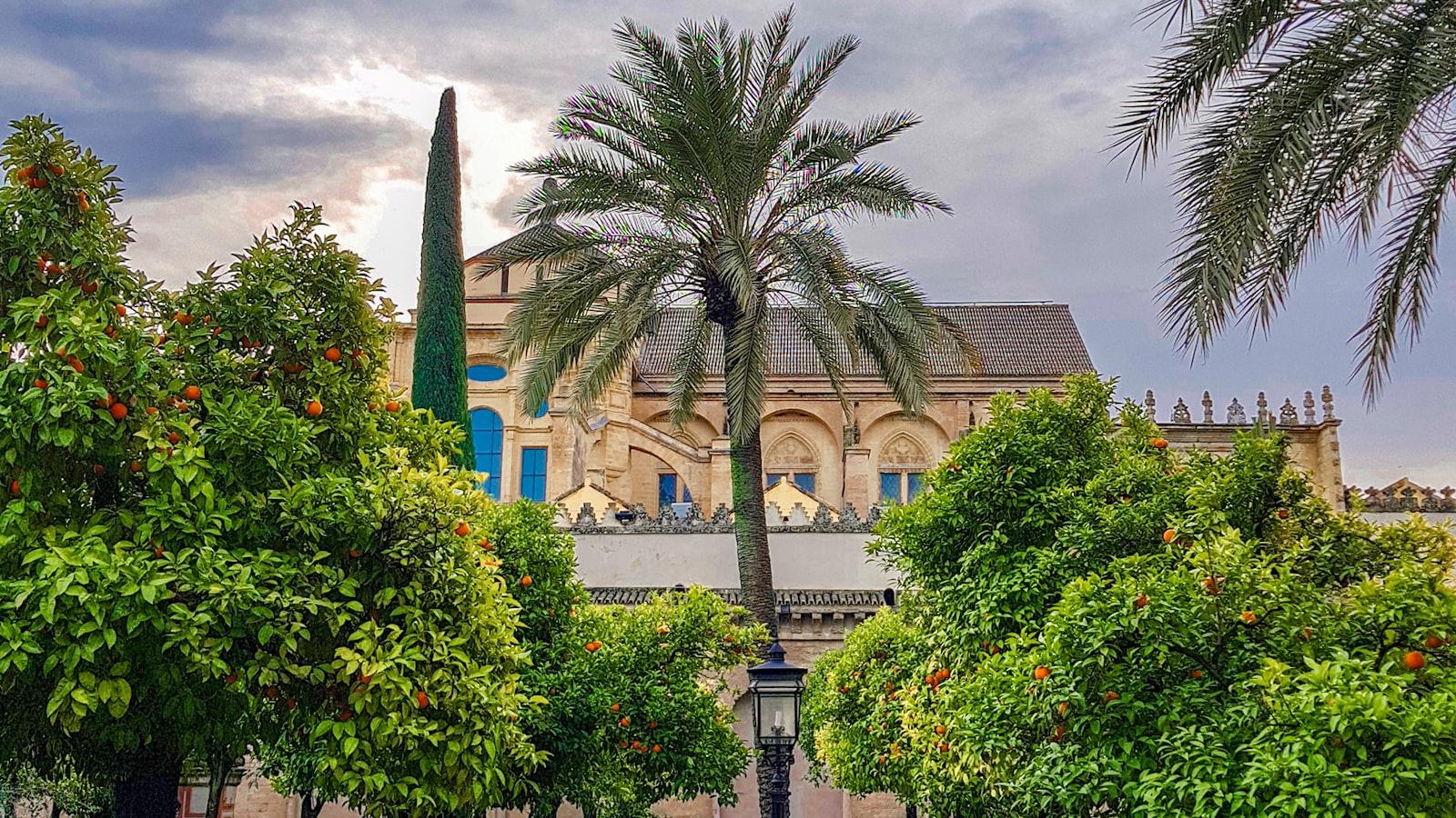 Beneficios de vivir en hogares geriátricos campestres en Medellín