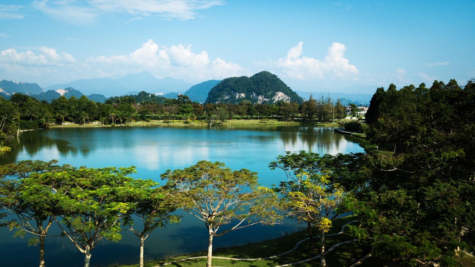 El Rol de la⁢ Comunicación en la Atención ⁣Geriátrica