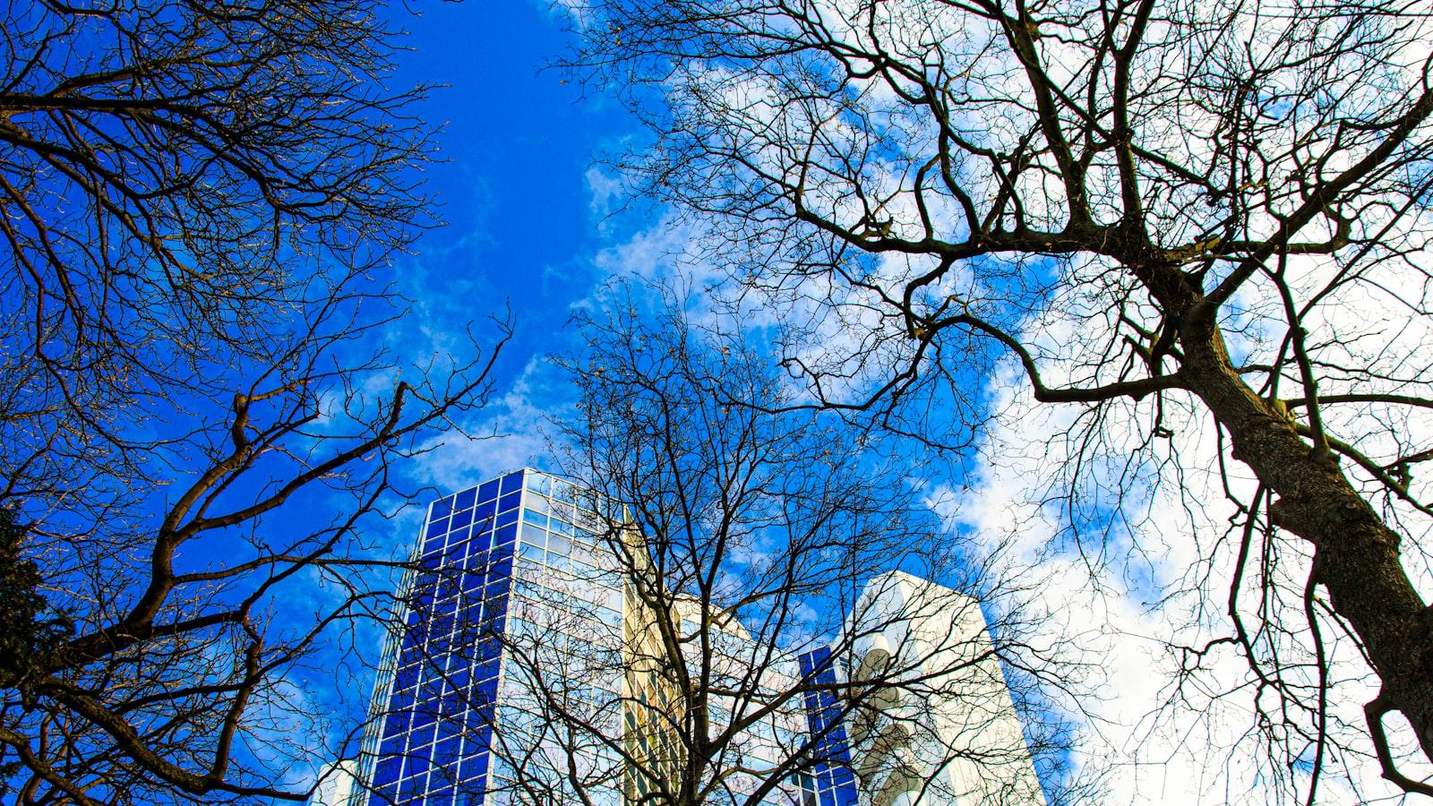 Innovación en la atención geriátrica en Medellín