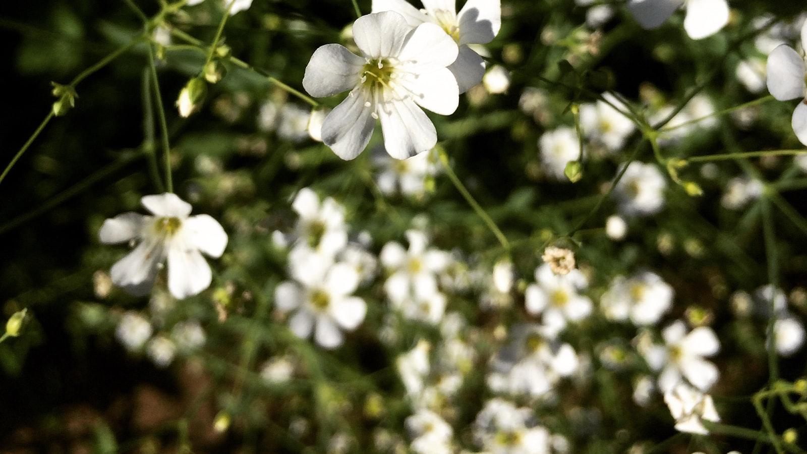 Recomendaciones ‍para Fomentar la Solidaridad y⁣ la Amistad en Medellín