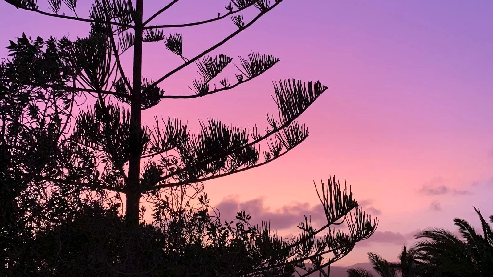 Beneficios de la actividad física y recreativa ‍en el bienestar de los adultos mayores