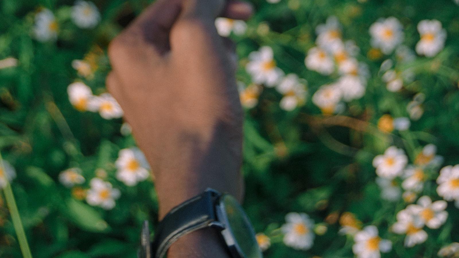 Enfoque en el ⁣trato ⁣afectuoso y personalizado⁤ hacia los ​residentes