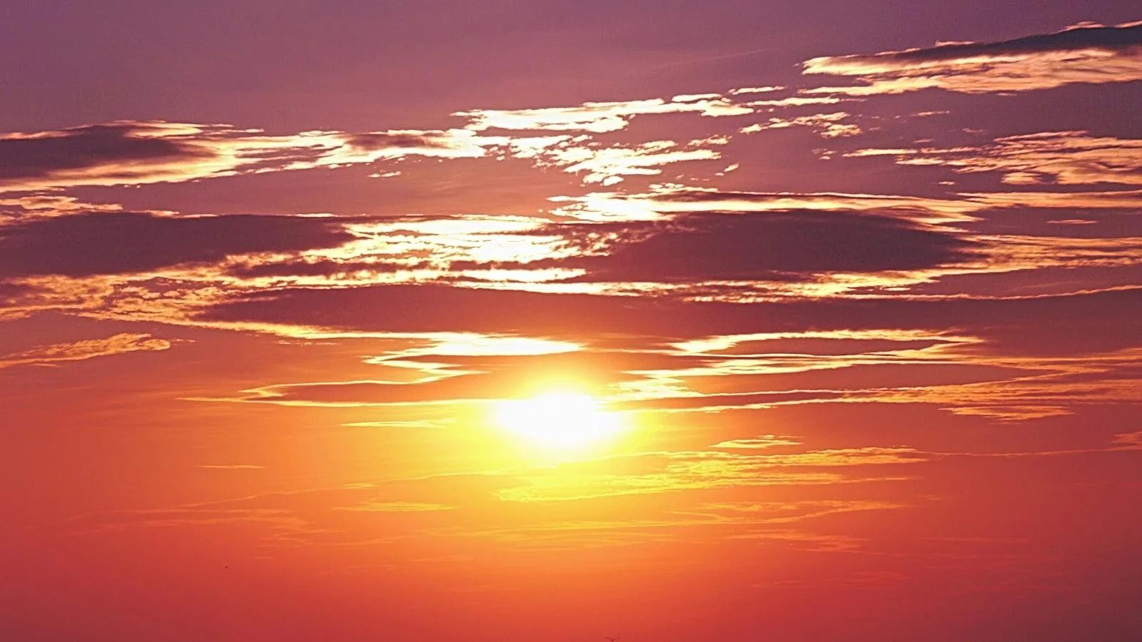 Introducción a las bombas de insulina para la tercera edad