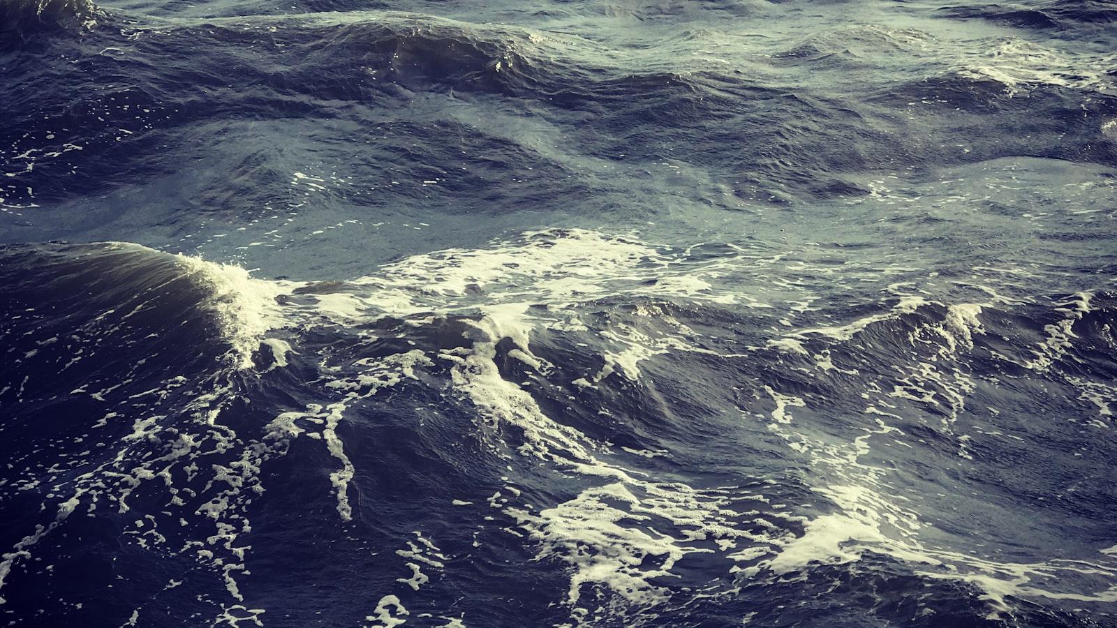 Servicios de calidad para una estancia placentera