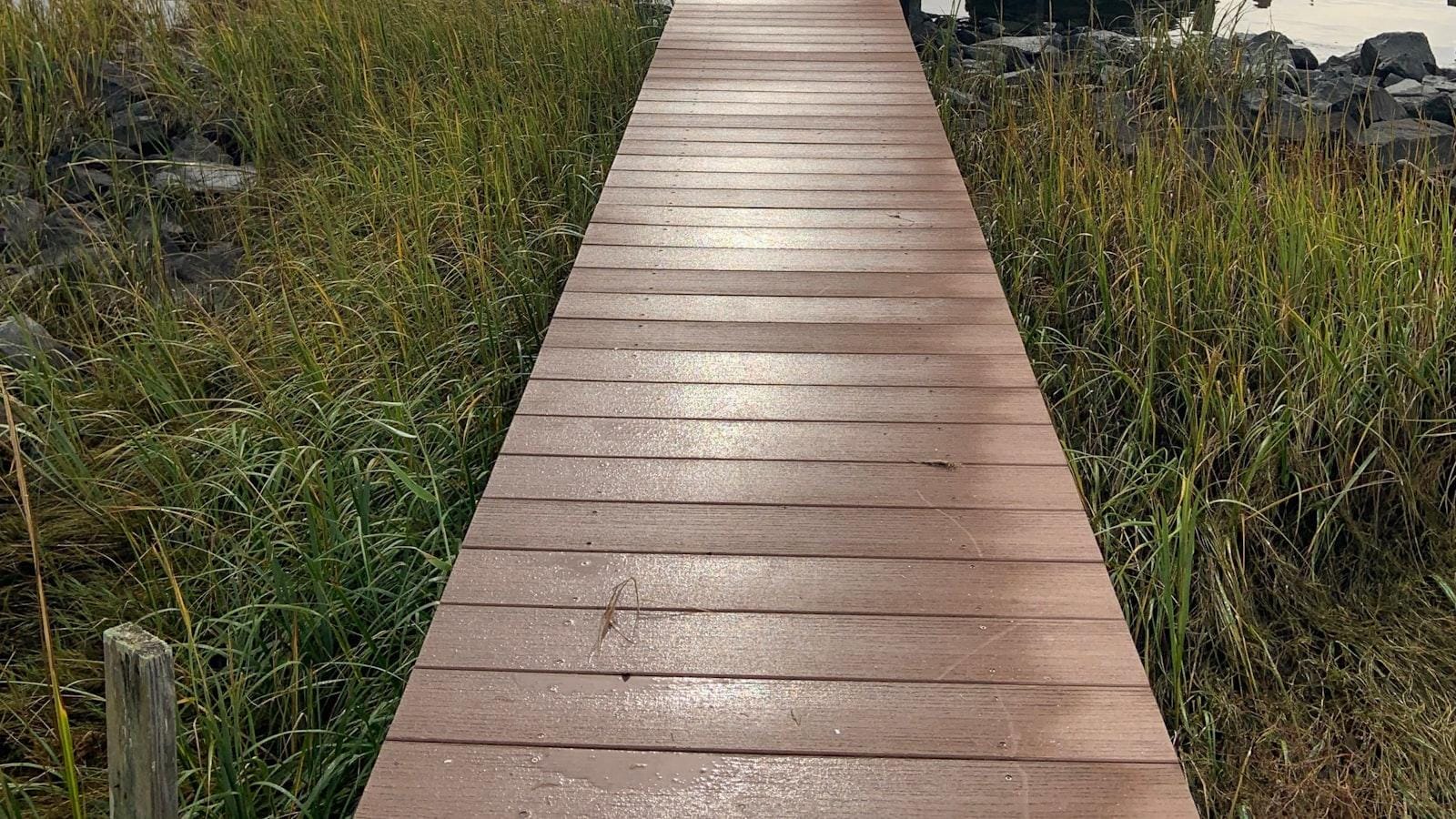 Recomendaciones para crear un plan de emergencia efectivo en caso de crisis asmática