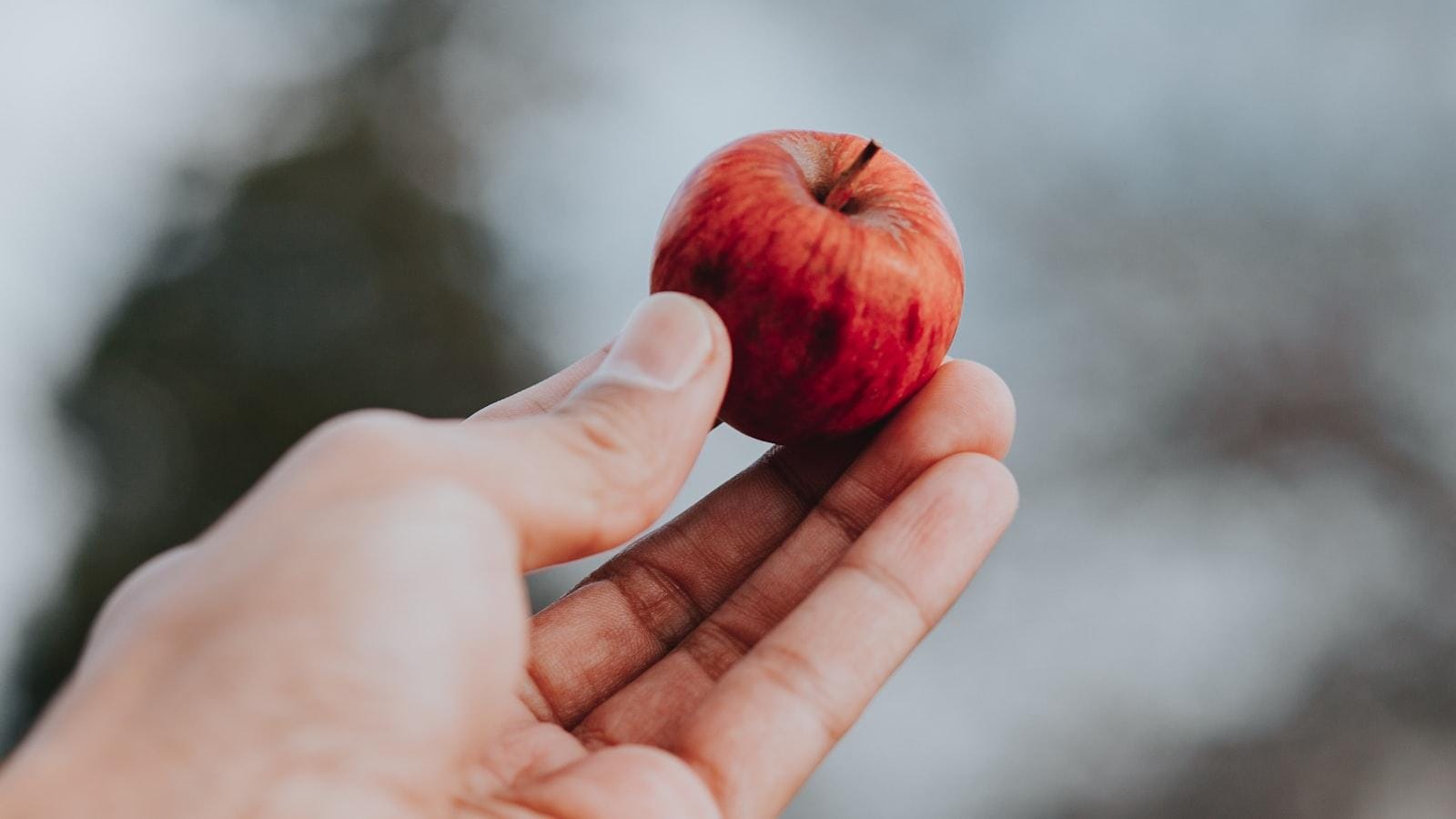 Importancia de la dieta vegetariana en la prevención de complicaciones