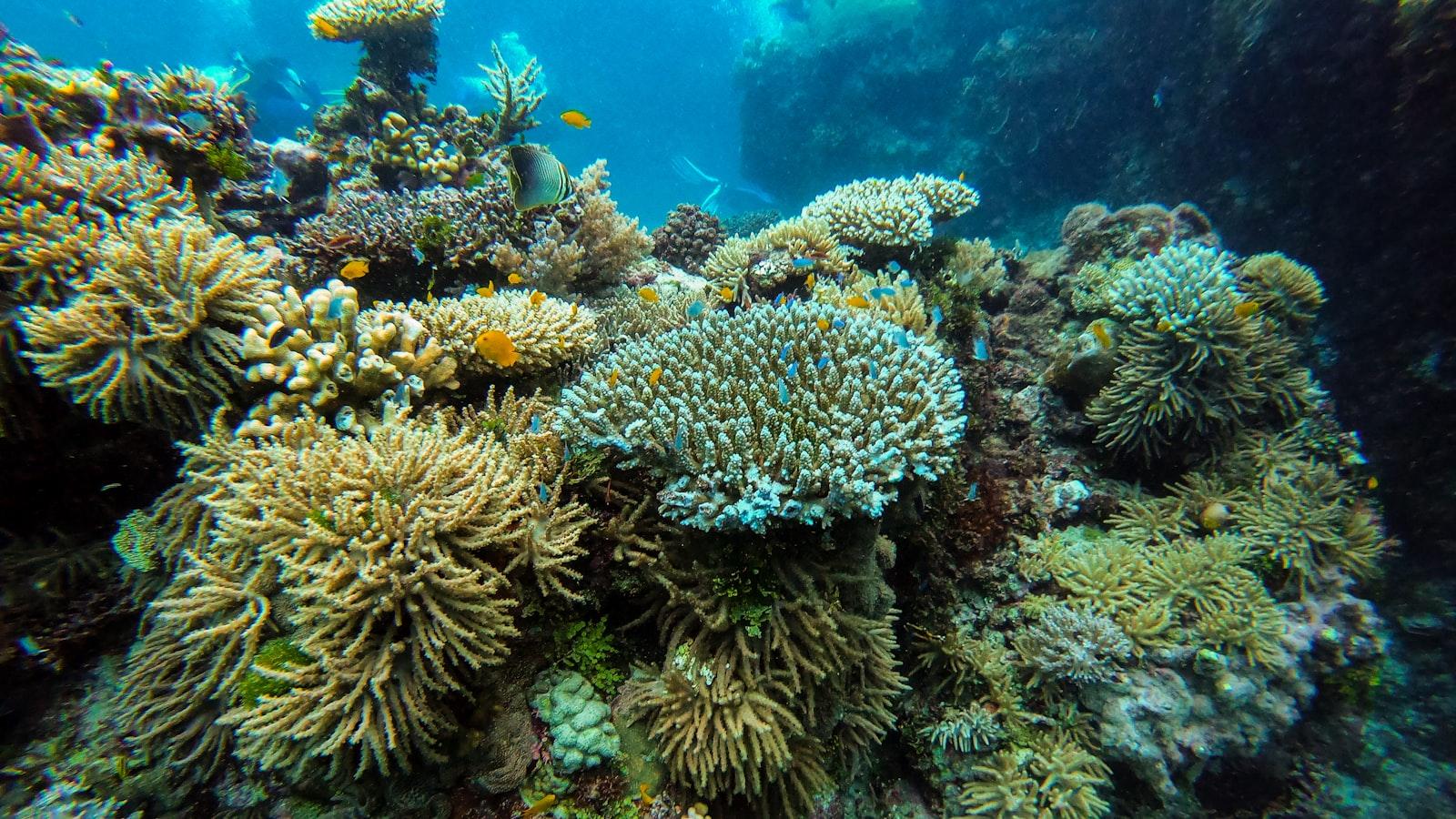 - Actividades recreativas y terapéuticas para promover la plenitud