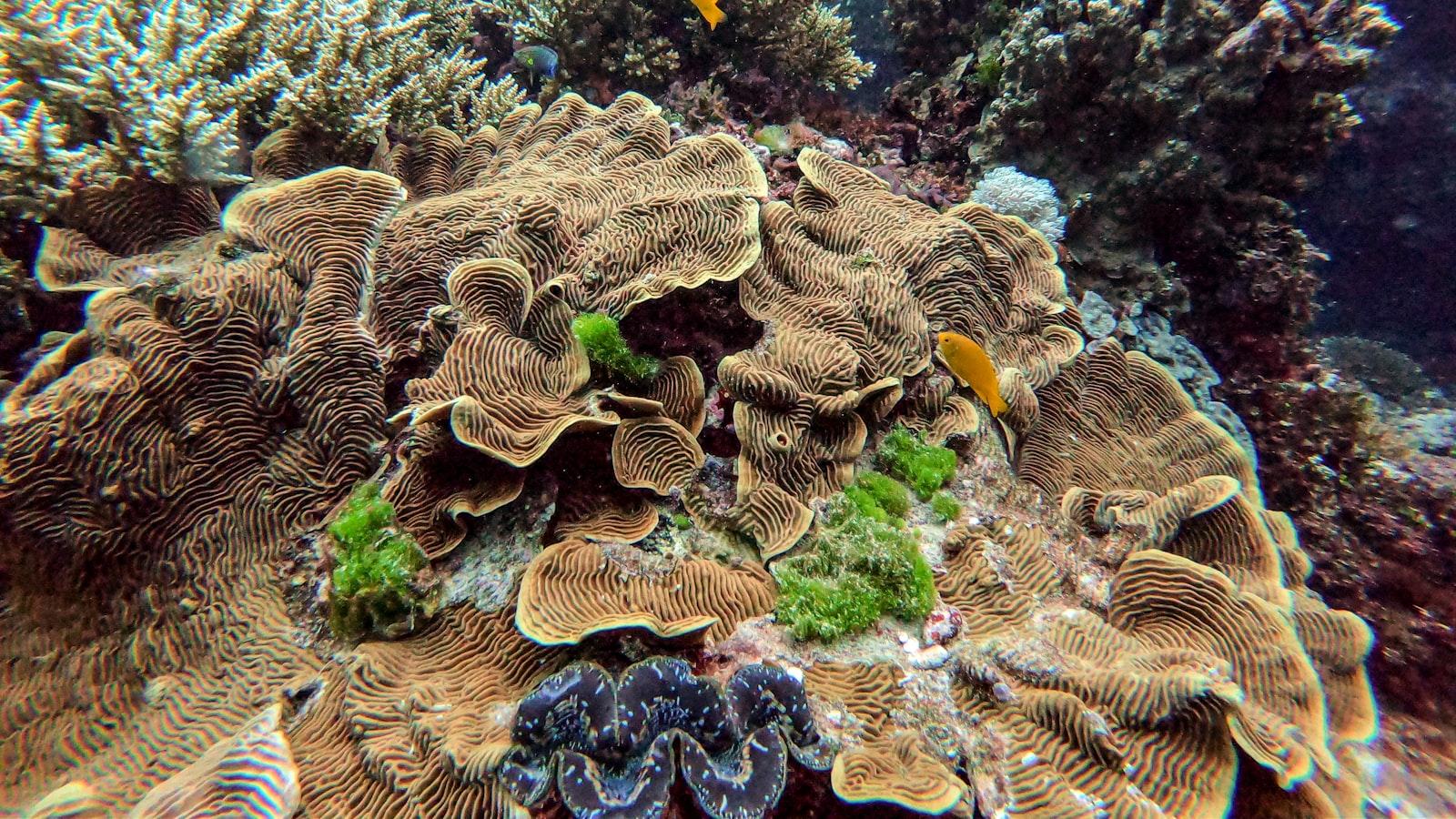 - Actividades recreativas para promover la interacción social y el bienestar emocional de los residentes