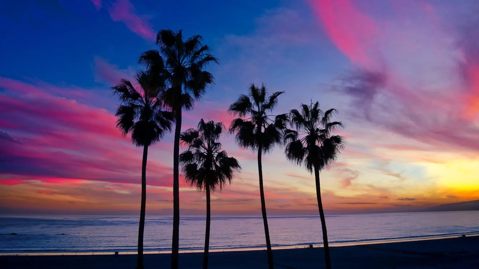 Introducción a Santa Mónica Medellín