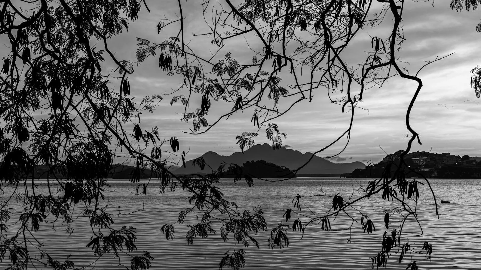 Asistencia médica especializada: cuándo y cómo buscar ayuda