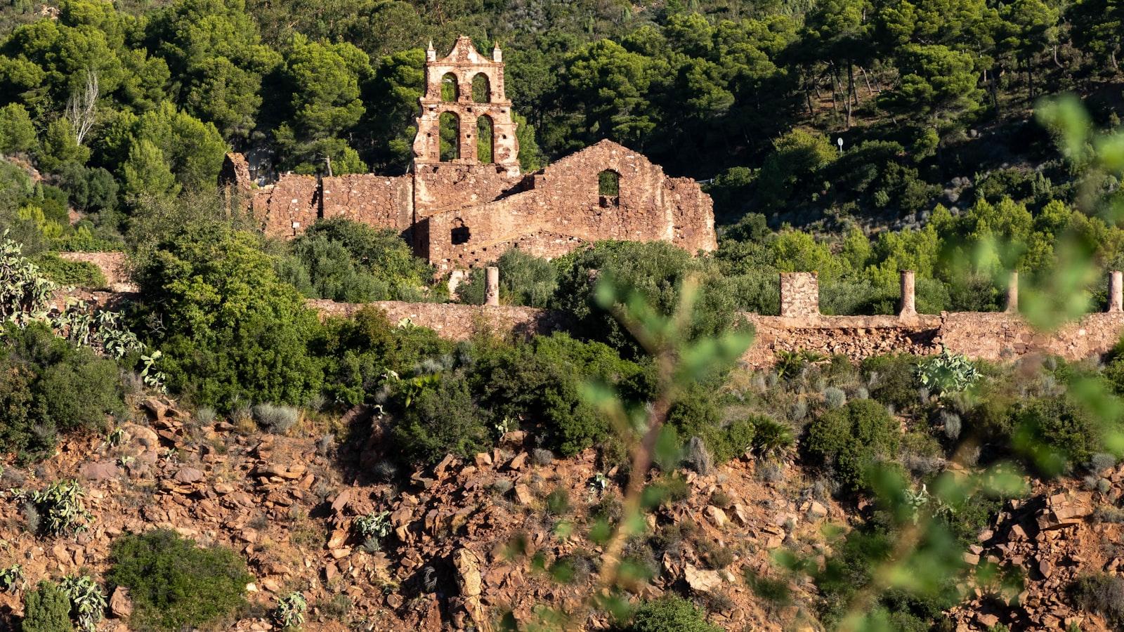Programas de recreación⁤ y actividades terapéuticas