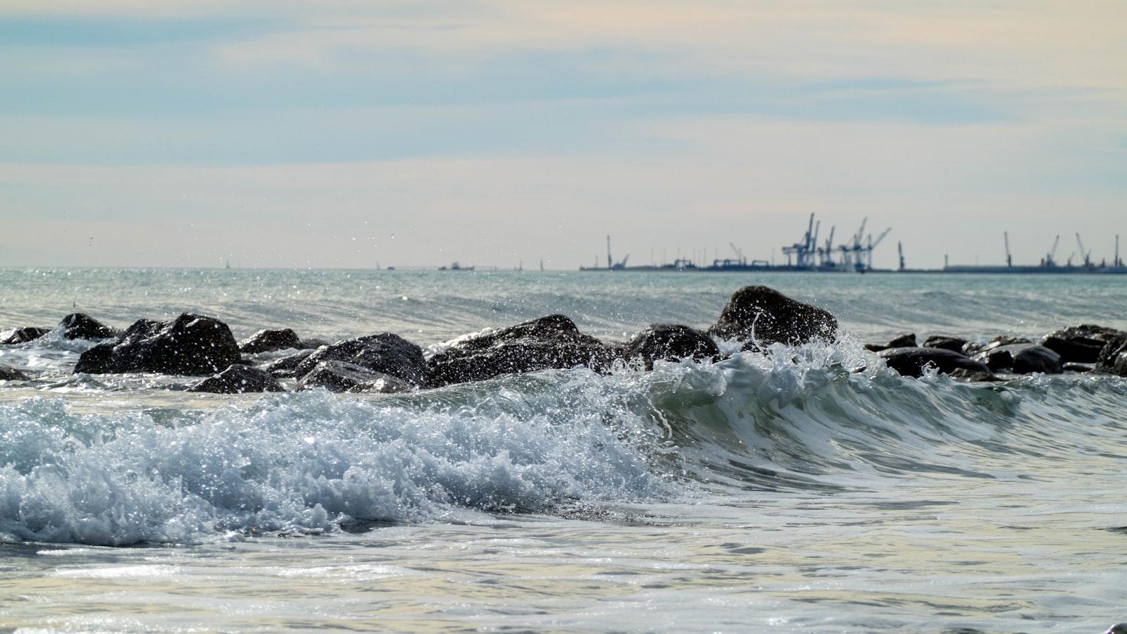 Programas de ​atención personalizada y especializada