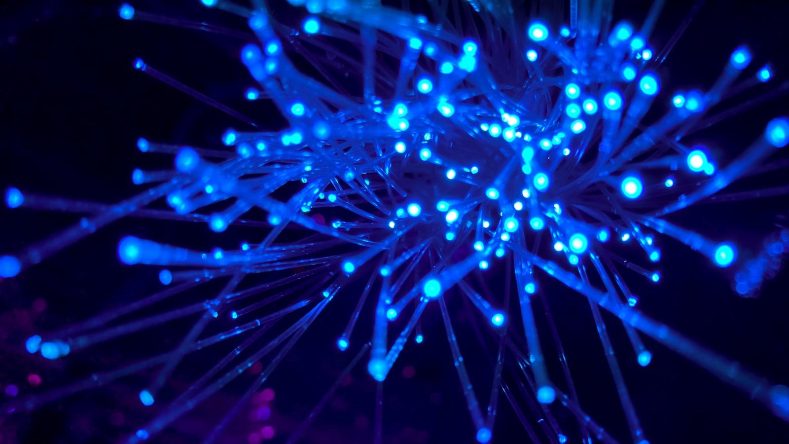 La​ conexión entre el bienestar pleno‍ y el contacto⁢ con la⁢ naturaleza