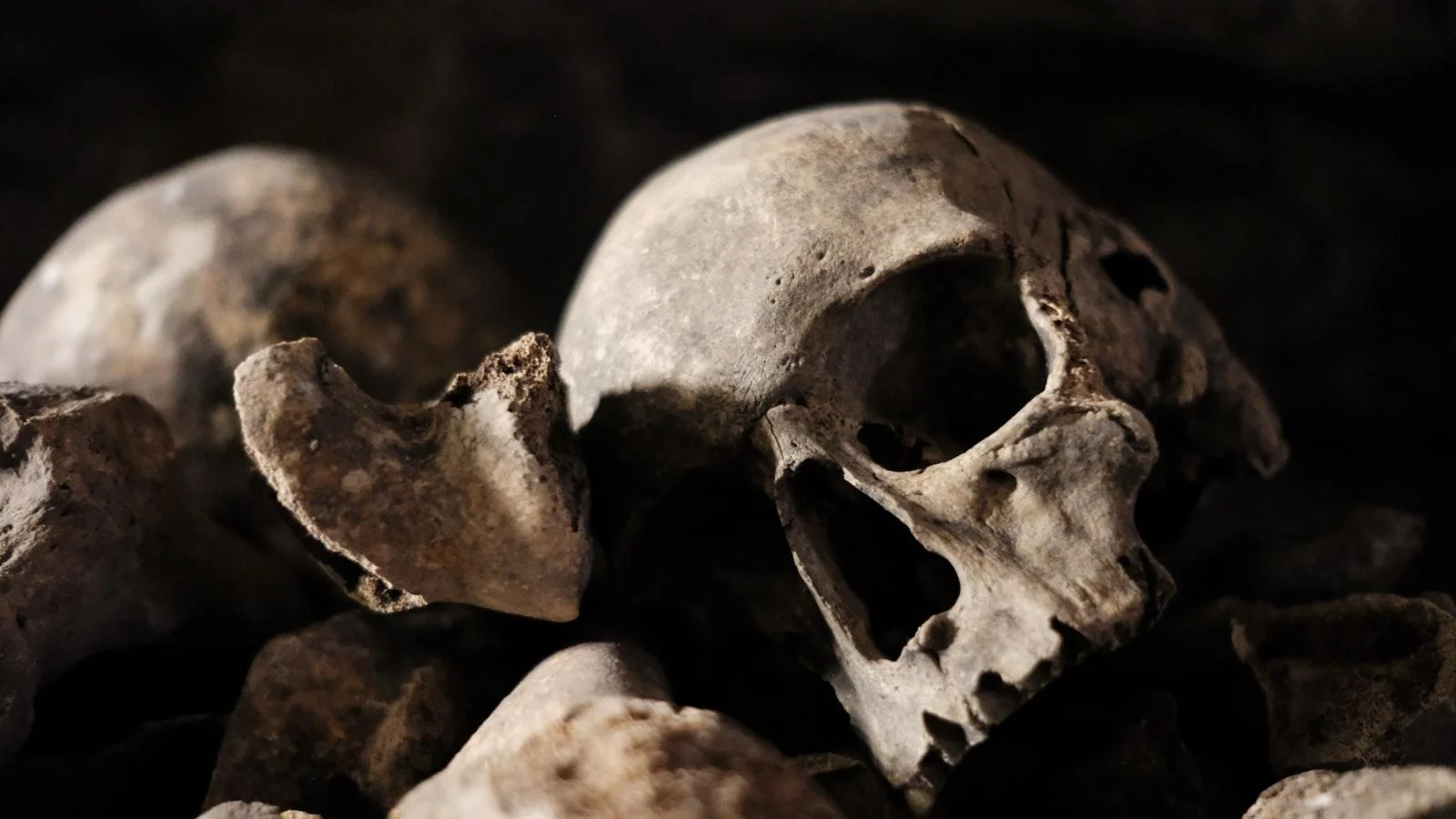 El rol ⁤de la familia en el ‍proceso de adaptación y felicidad de los residentes