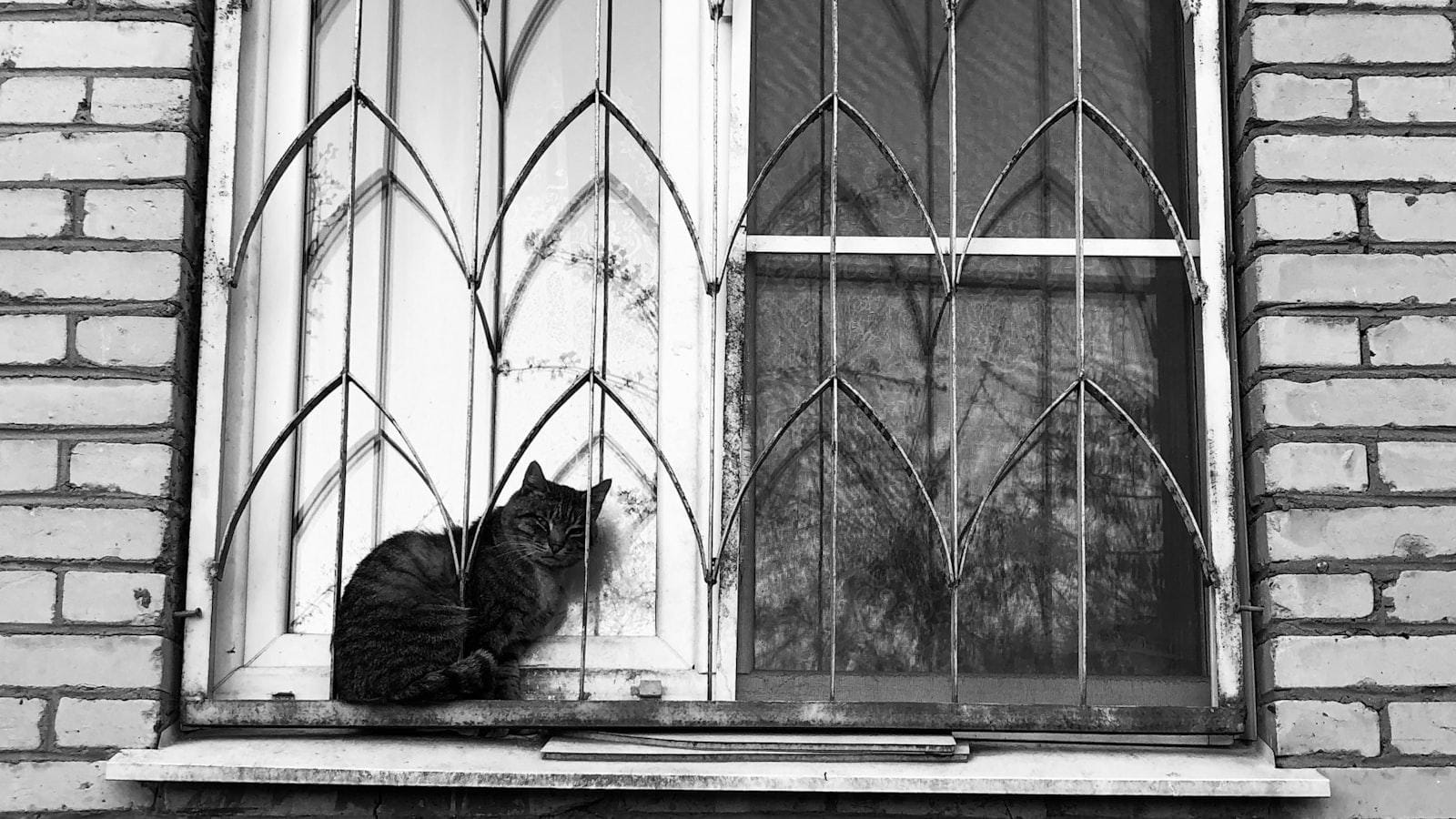 Recomendaciones para pacientes asmáticos frente a cambios climáticos en Medellín